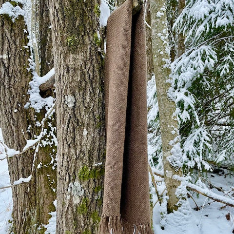 Ruskea villashaali roikkuu taitettuna puun oksalla talvisessa metsässä.