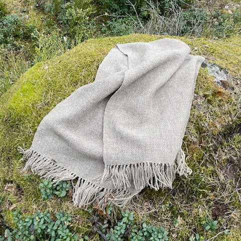 Vaaleanharmaa villashaali sammaleisen kiven päällä metsässä.